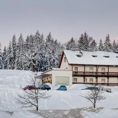 Apartment Alpenhotel Boedele - Luxus Mit 2 Sz 21